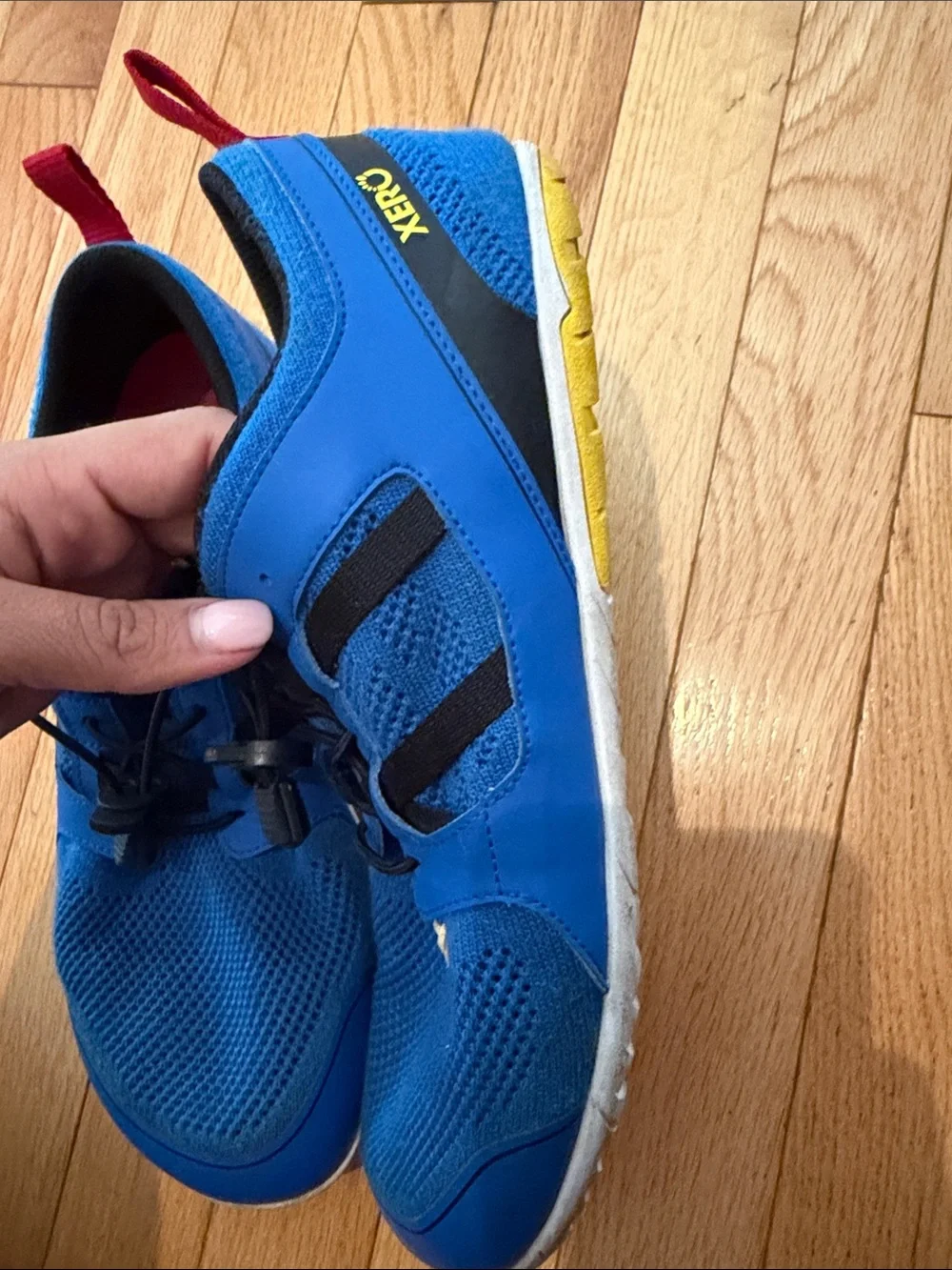 ZeroXposur Men's Athletic Shoes in Blue and Black with Red Accents